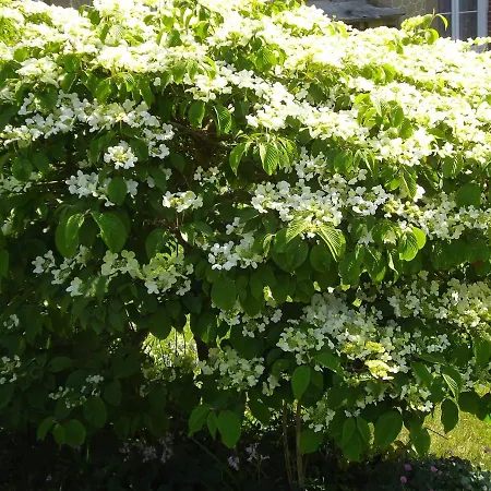 Serenite Normande
