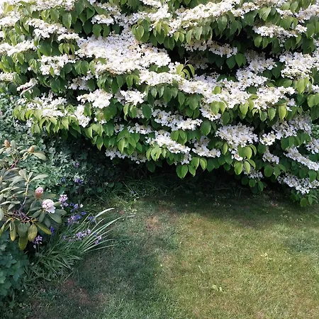 Serenite Normande 3*