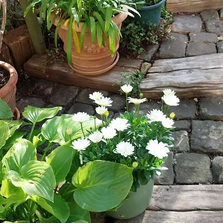 Bed & Breakfast Serenite Normande Bolbec