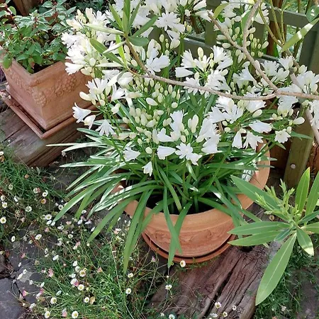 Serenite Normande Nocleg ze śniadaniem 3*